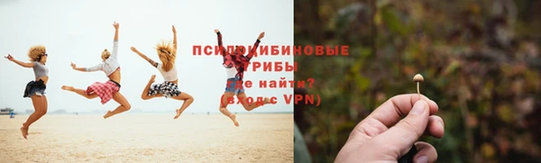 apvp Киреевск