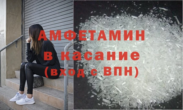 прущие грибы Корсаков