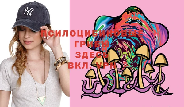 прущие грибы Корсаков